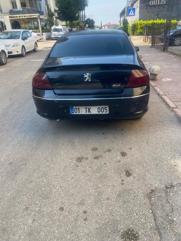 sahibinden temiz 407 - 6