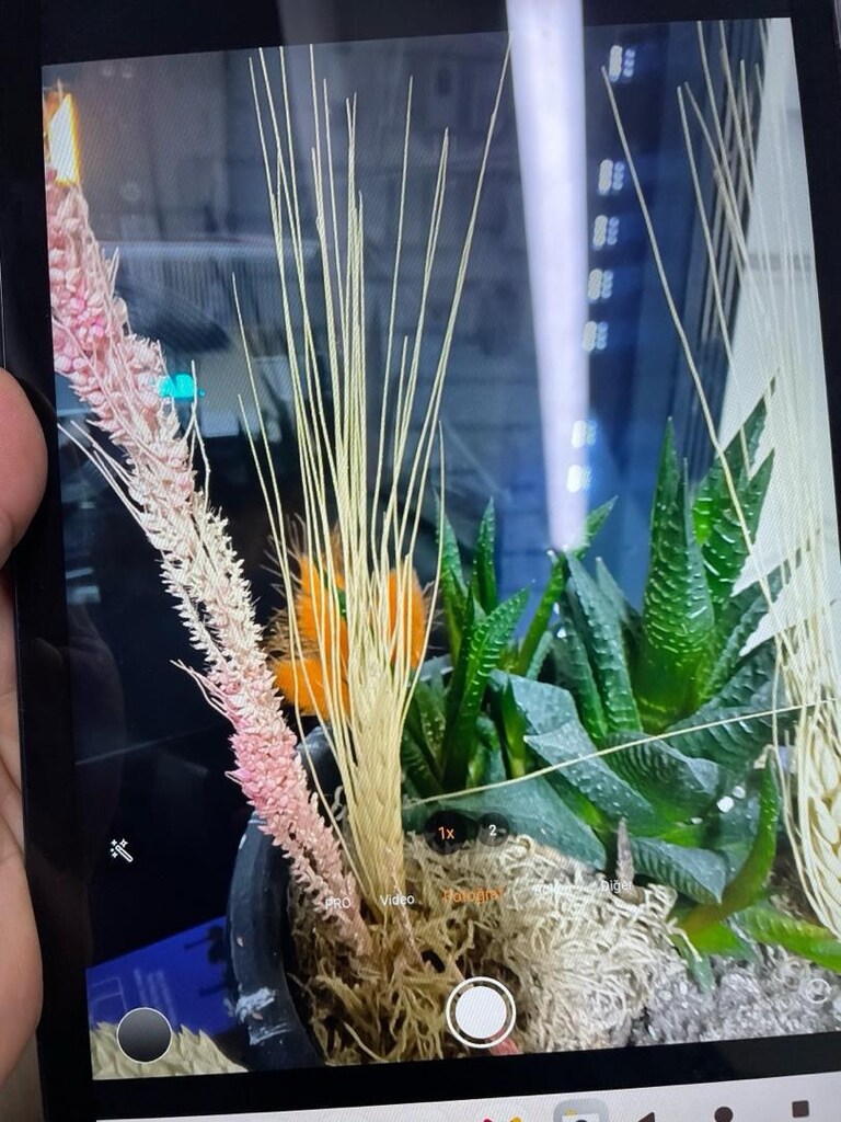casper via l50 tablet - 4