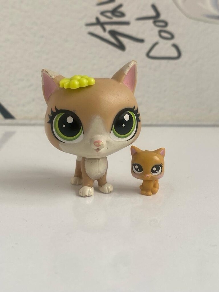 kedi minişler - 7