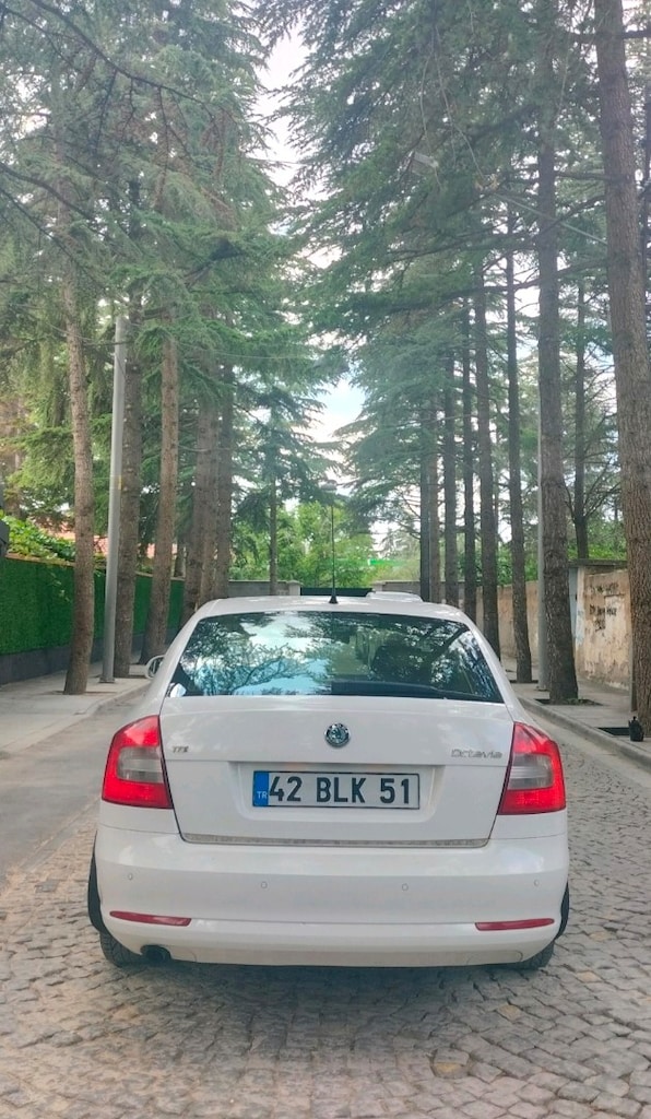 Hatasız Skoda Octavia 1.6 TDI Elegance DSG - 6