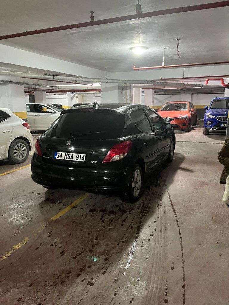 PEUGEOT 207 - 8