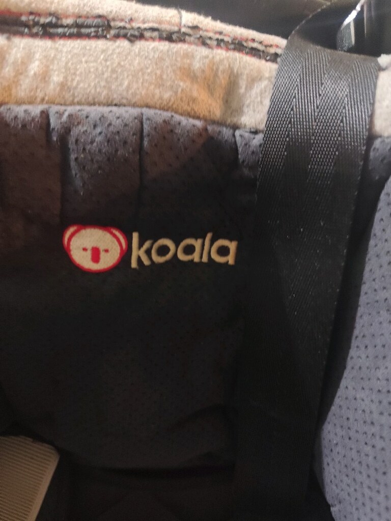 araba koltuğu - 2