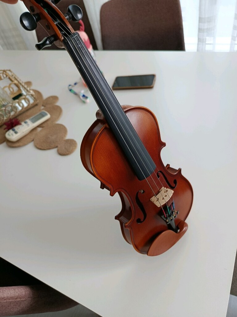 Keman Çocuk kemanı Carlovy vl8 - 4