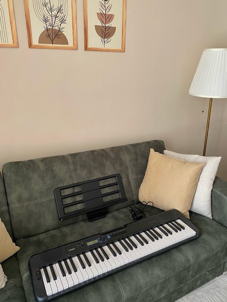 Casio 61 Tuşlu Org - 3