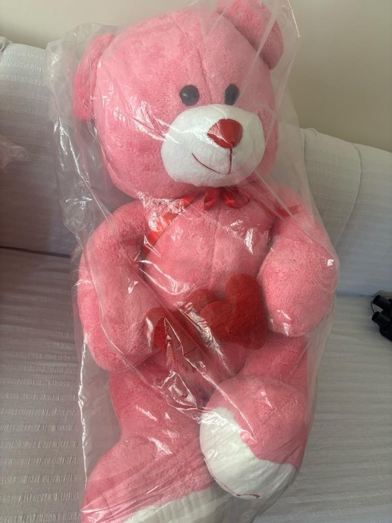 pembe büyük boy ayıcık