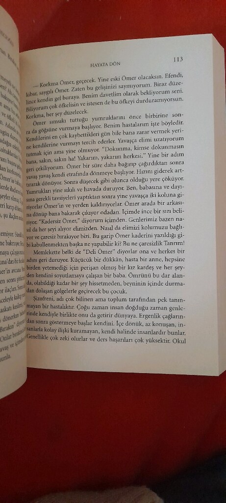 HAYATA DÖN, GÜLSEREN BUDAYİCİOGLU - 3