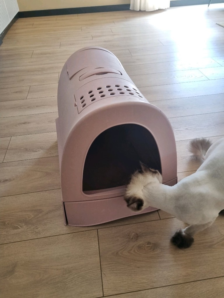 Kedi Tuvaleti veya Kedi kumu kabı - 3