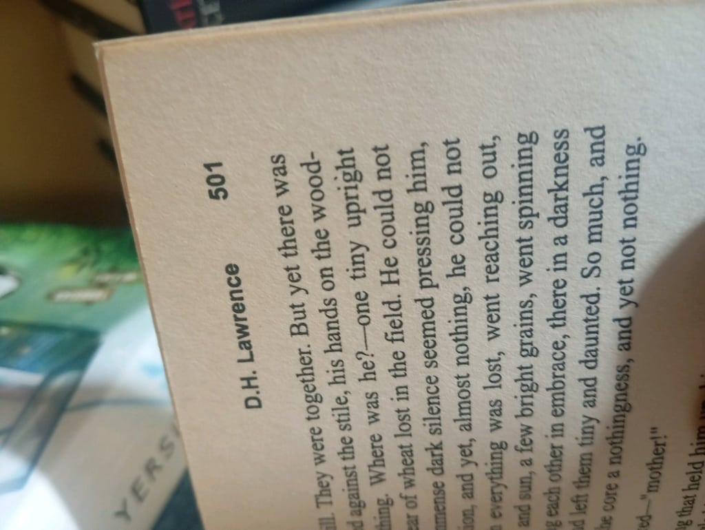 D.H.Lawrence Sons and Lovers Kitabı - 6