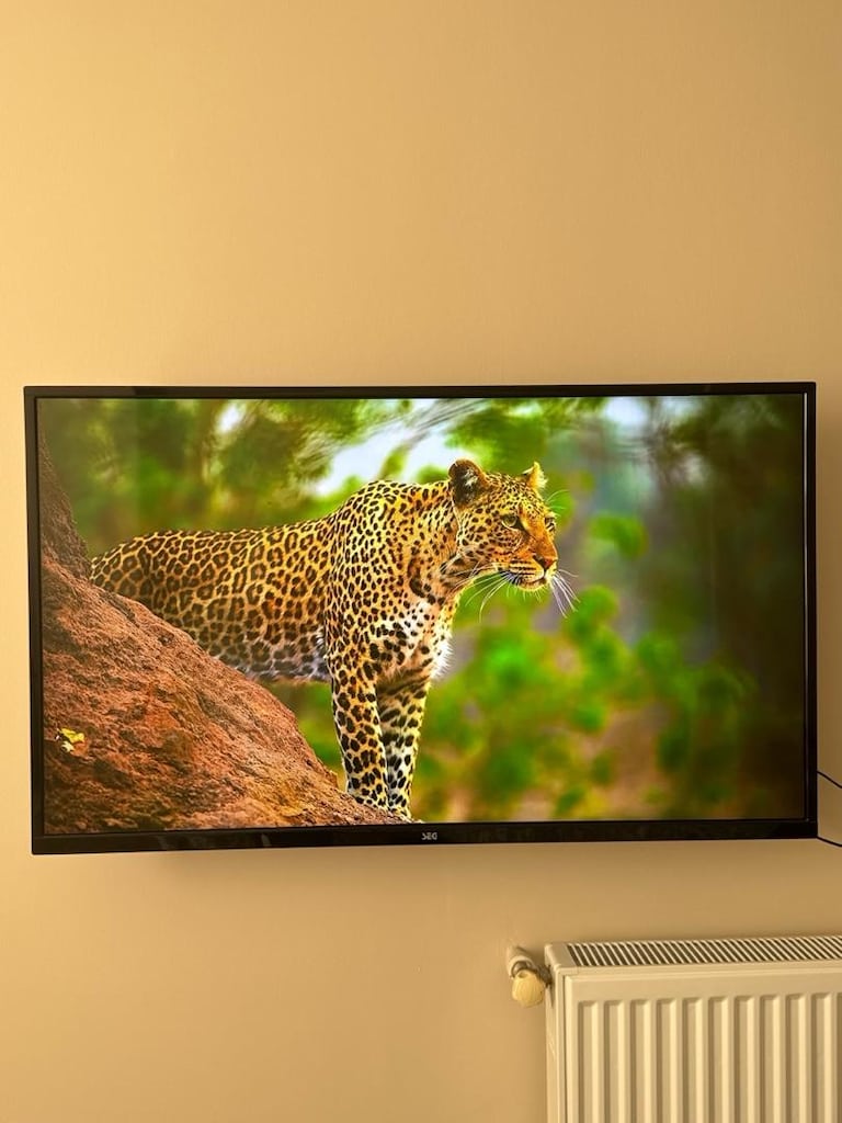 SEG TV - 4