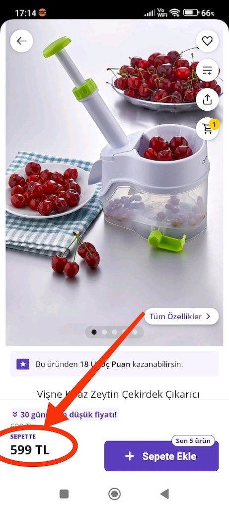ÇEKİRDEK ÇIKARMA MAKİNESİ (SIFIR) YARI FİYATINA - 4