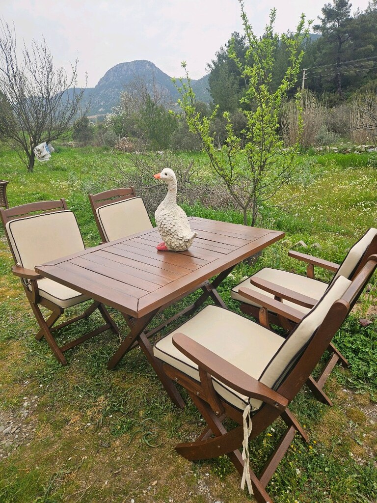 Katlanır Tik ağacı Katlanır kolçaklı masa sandalye - 2