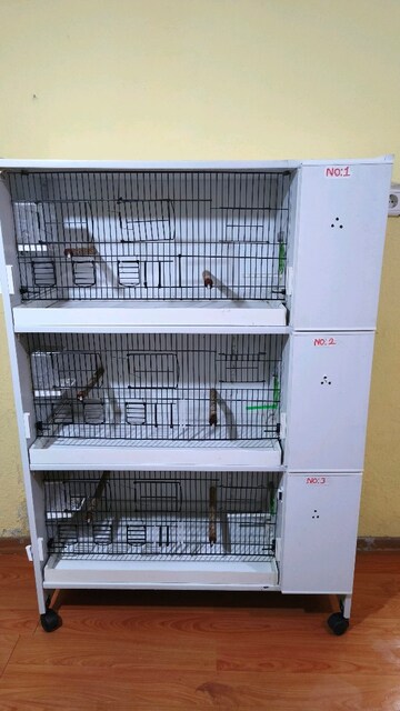 PVC kafes