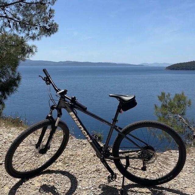 Bianchi Magma 29 S