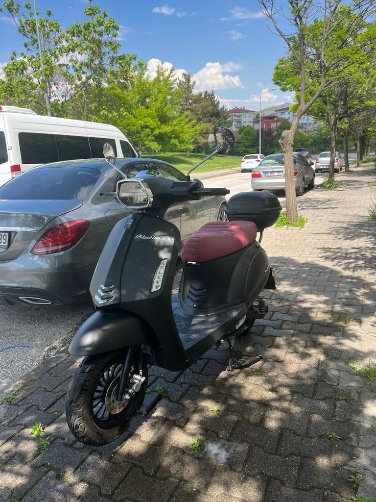 Kuba bluebird pro (80cc) - 5
