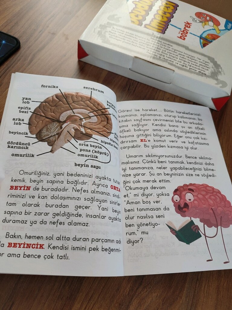 çocuk kitabı vücudun bilmecesi 6-9 yaş - 4