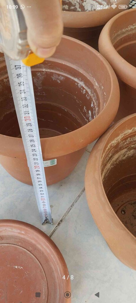 büyük boy saksı - 3