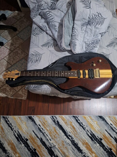 J&D BROTHERS ELEKTRO GITAR