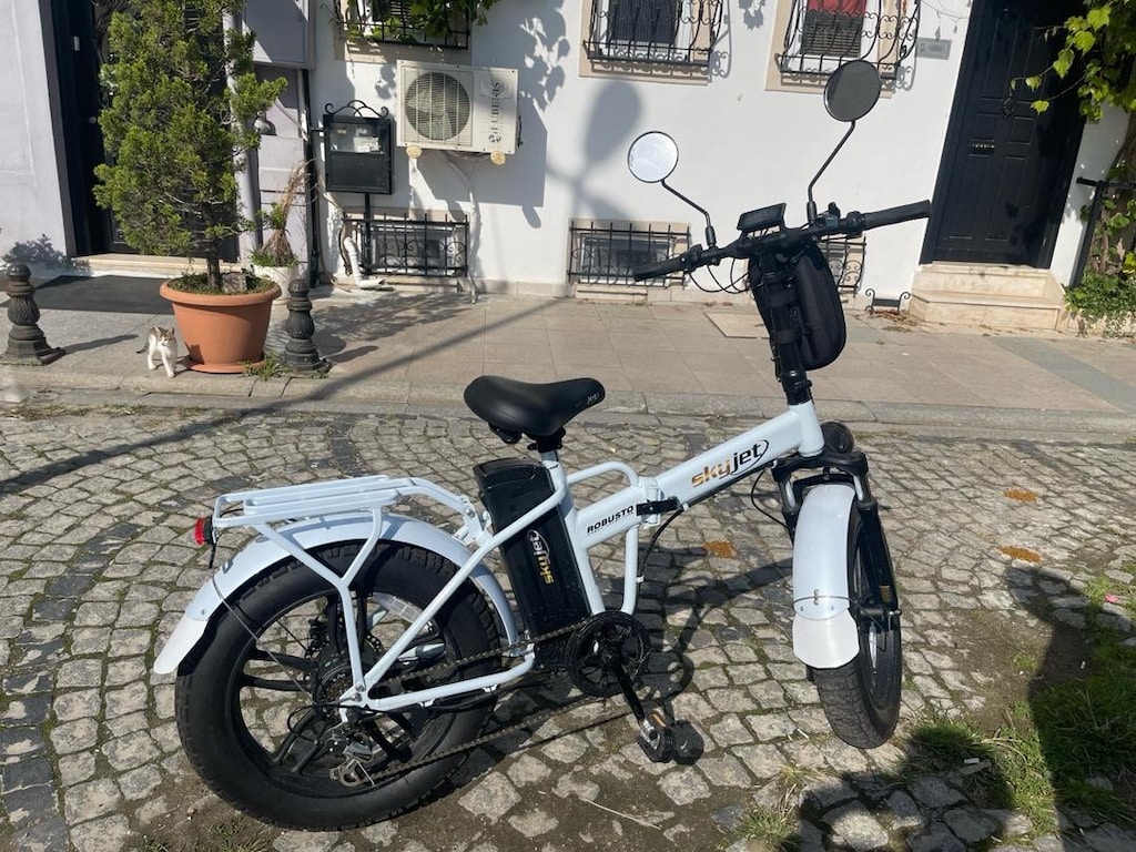 Katlanır Bisiklet - 10