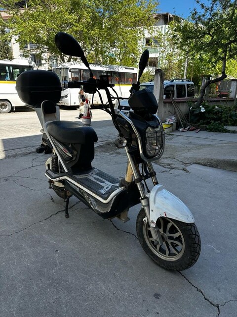st max kobra 250