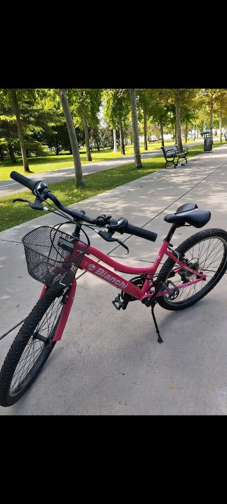 Bianchi Bisiklet - 3