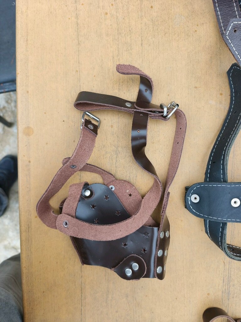 köpek tasması - 5