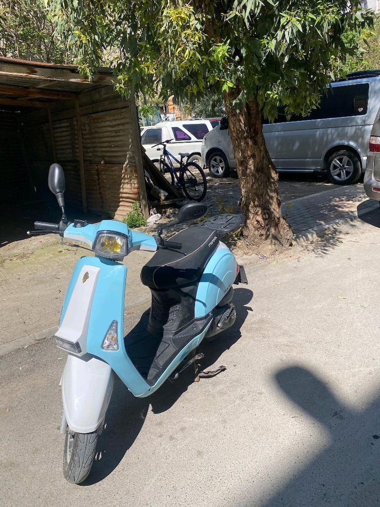 temiz 50cc revival