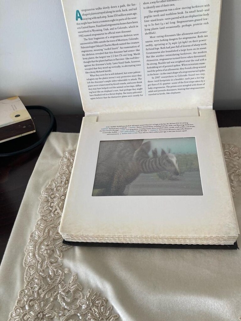 Dinozor resimli İngilizce kitap - 5