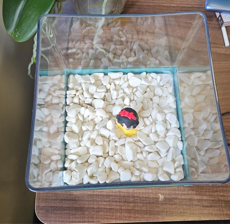 Dekoratif Mini Akvaryum - 4