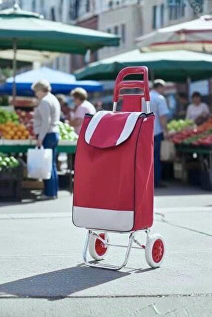 ‼5 Ay Kullanıldı‼Temiz Newlife 40kg Kapasite, Güçlü Alüminyum Gövde - 5