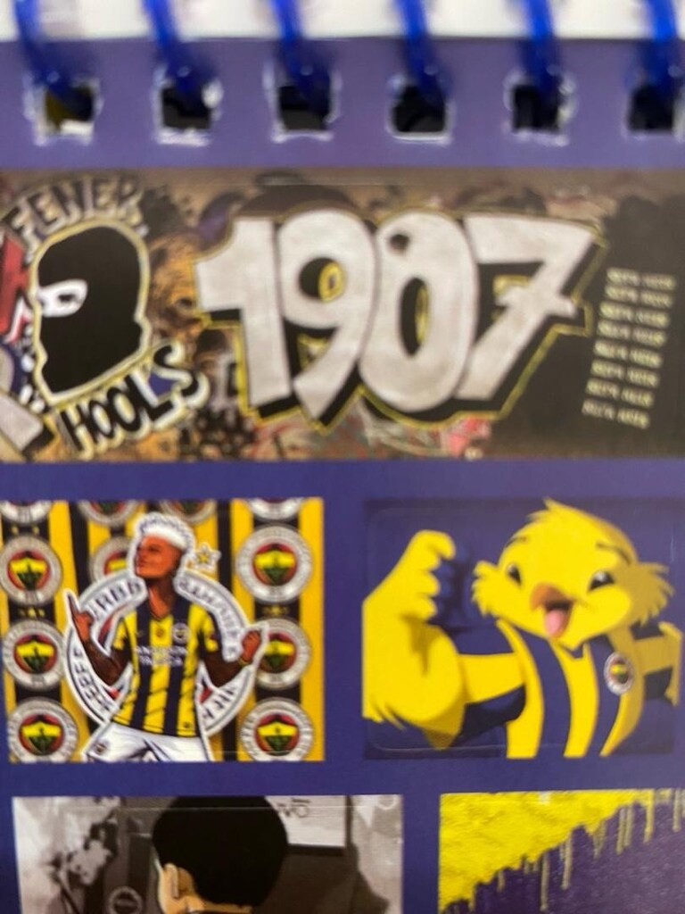 FENERBAHÇE STICKER BOOK - 6