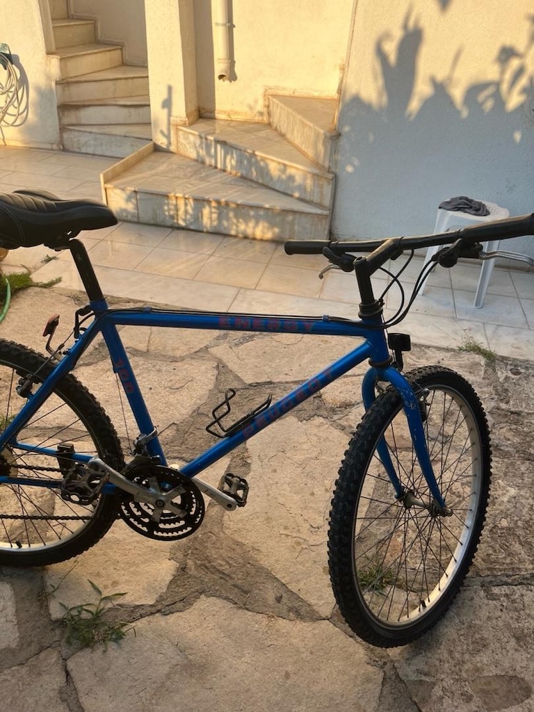 Peugeot Bisiklet - 3