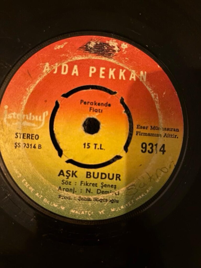 ajda pekkan 33lükleri - 5