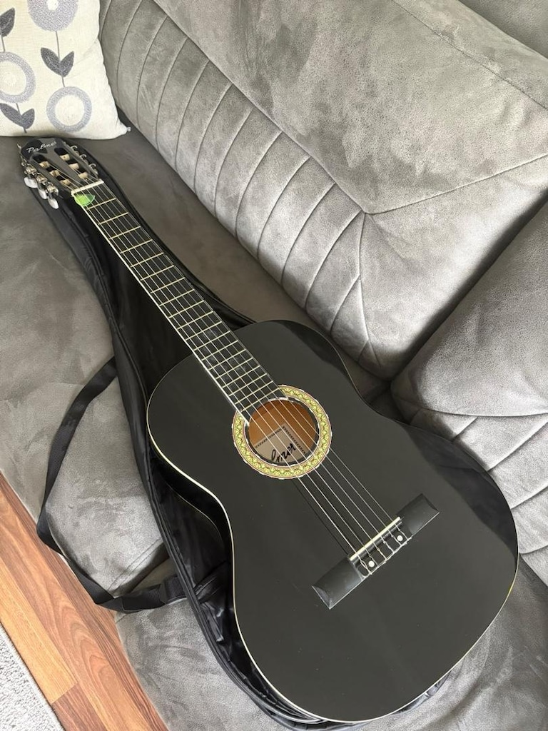 palmer klasik gitar - 2