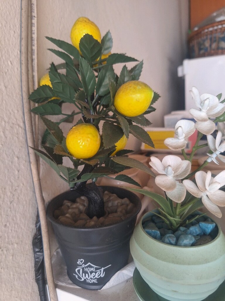 limon yapay ağacı - 2