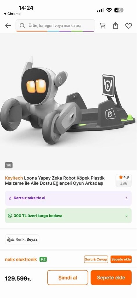 loona robot köpek - 2