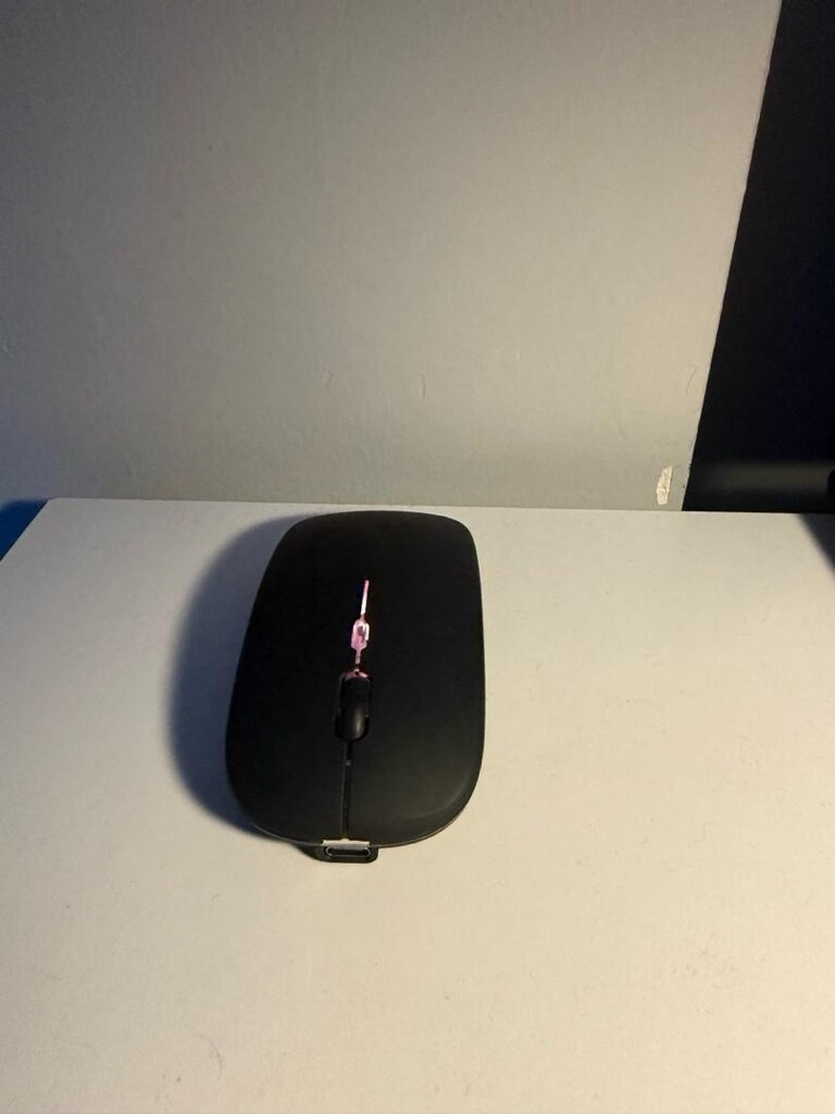 mouse - 2
