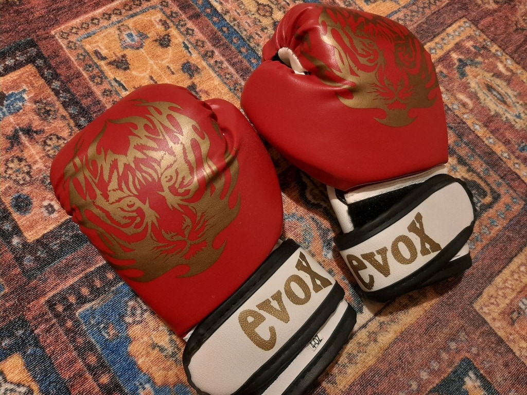 çocuk boks torbası ve antrenman eldiveni - 2
