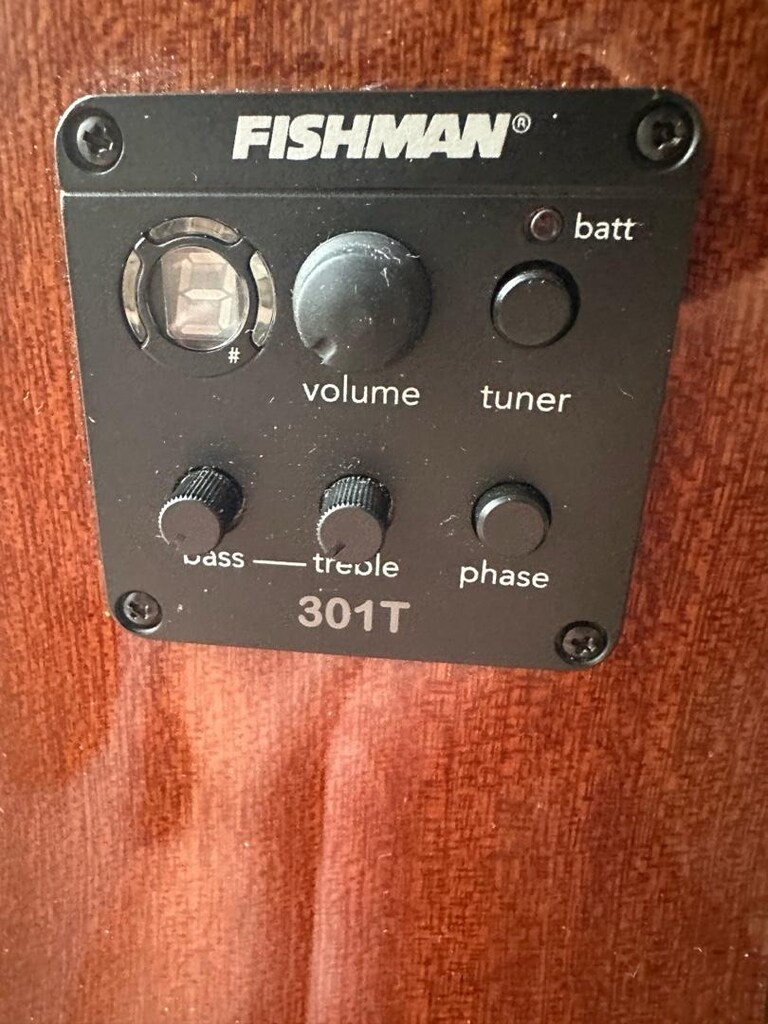 Washburn 12 Telli Elektro Akustik - 3