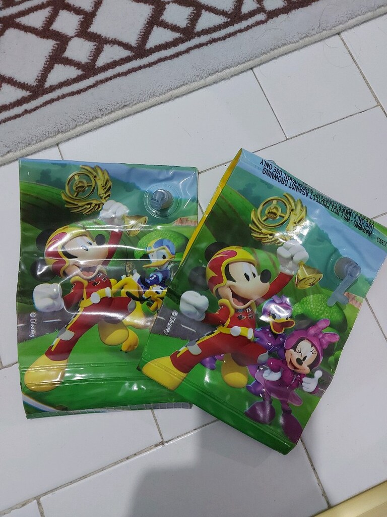 Disney kolluk - 2