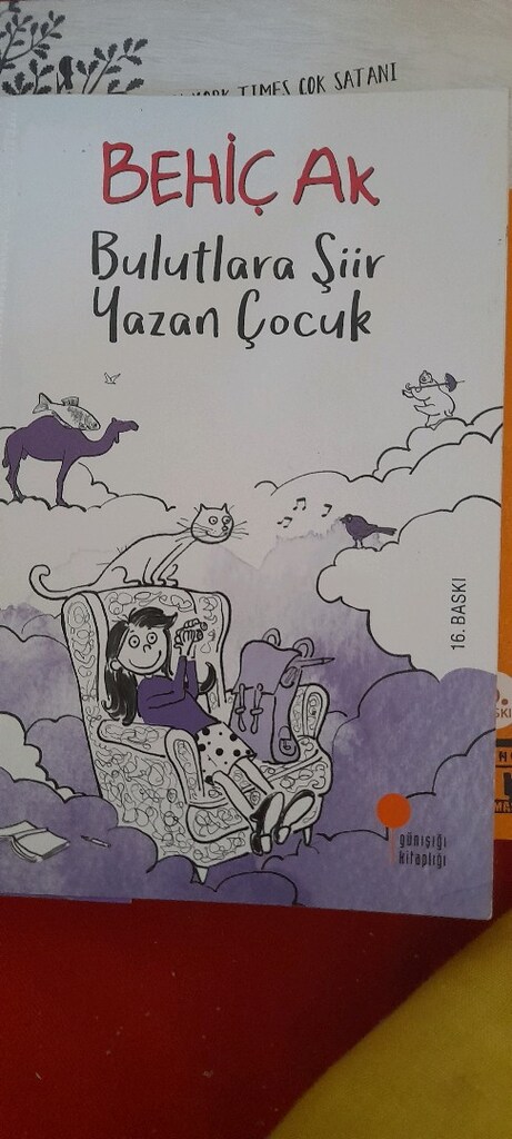 Kiraz Tepesindeki Mucize, bulutlara şiir yazan çocuk, Behiç ak, sun mi - 4
