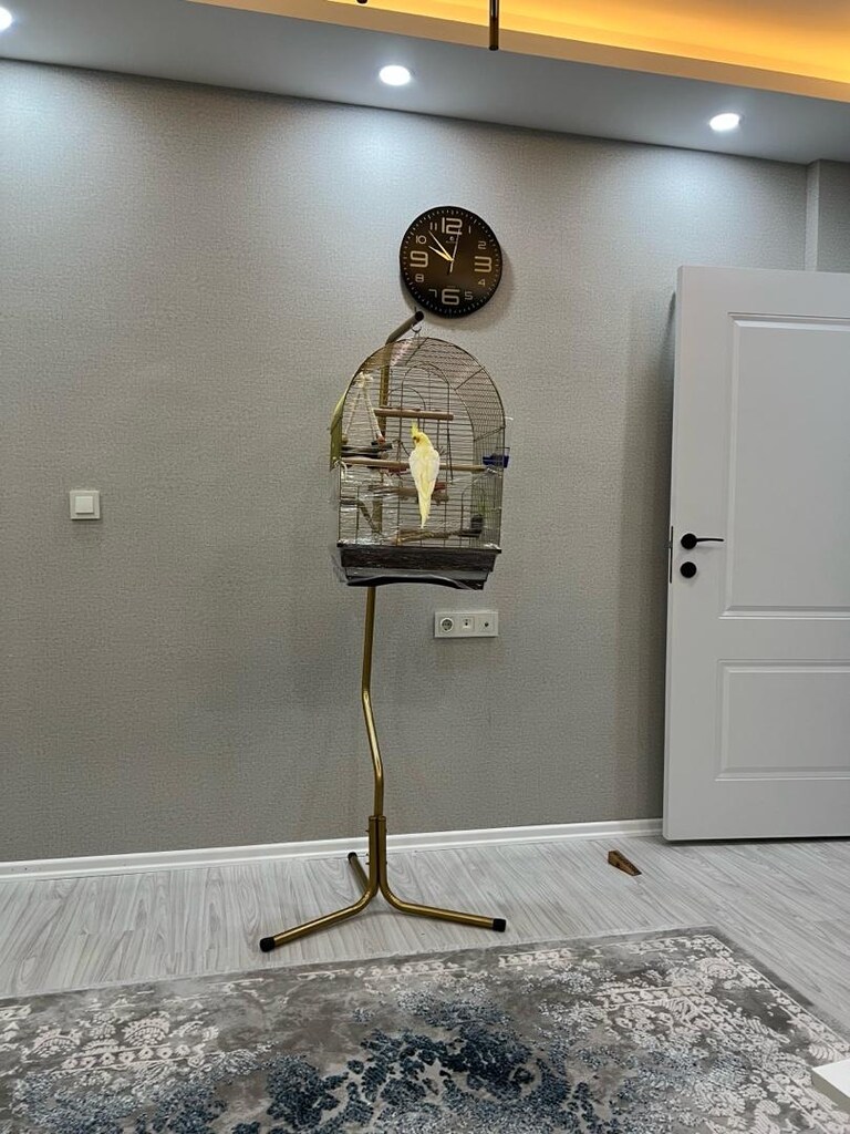 Kafes Askısı - 2