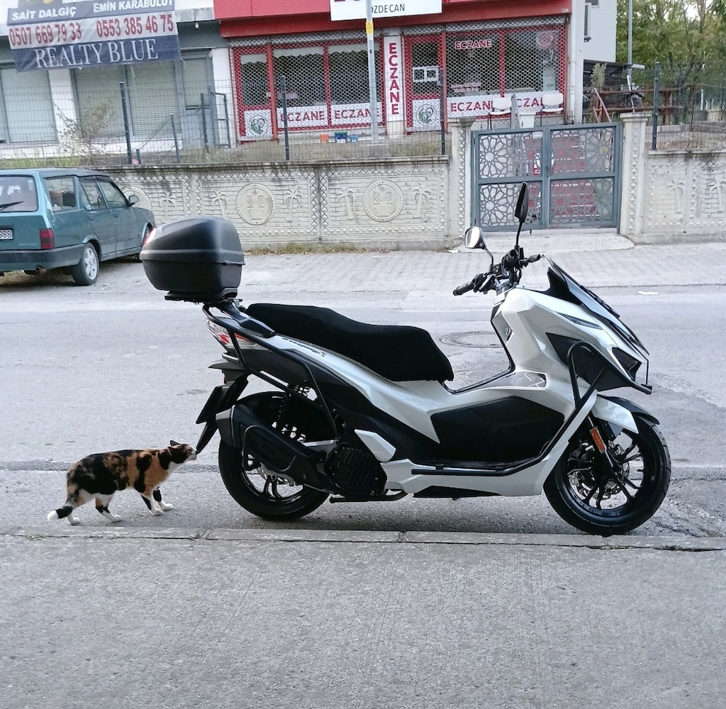 SYM JET X ABS TCS ÖN ARKA DİSK 800 KM DE - 8