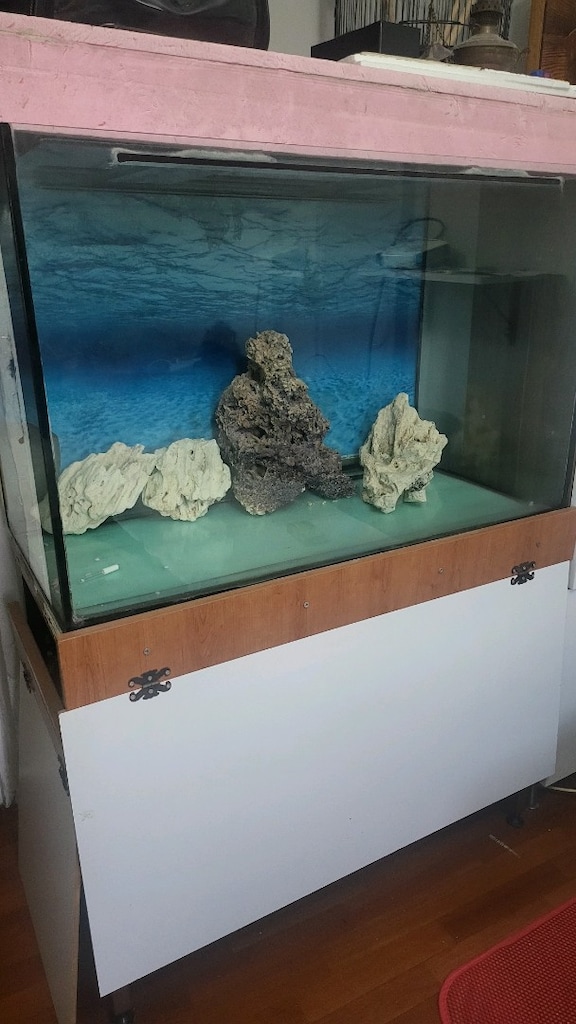 Akvaryum, dekor kayalar, aydınlatma ve sehpa - 4
