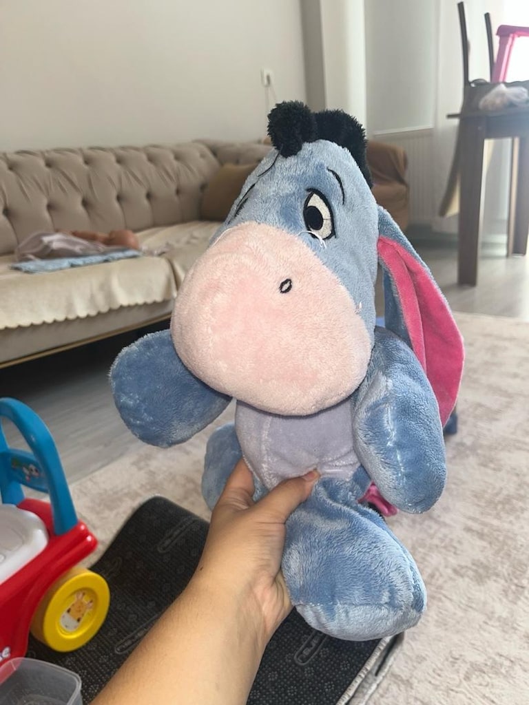 Winnie The Pooh Eeyore Peluş Oyuncak - 13