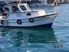 7 68boy 2 50 en 32lik pancar motor koysan sanjuman balık buluculu ful