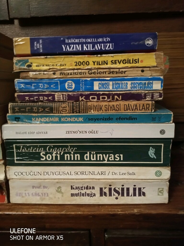 eski baskı vintage kitap - 2