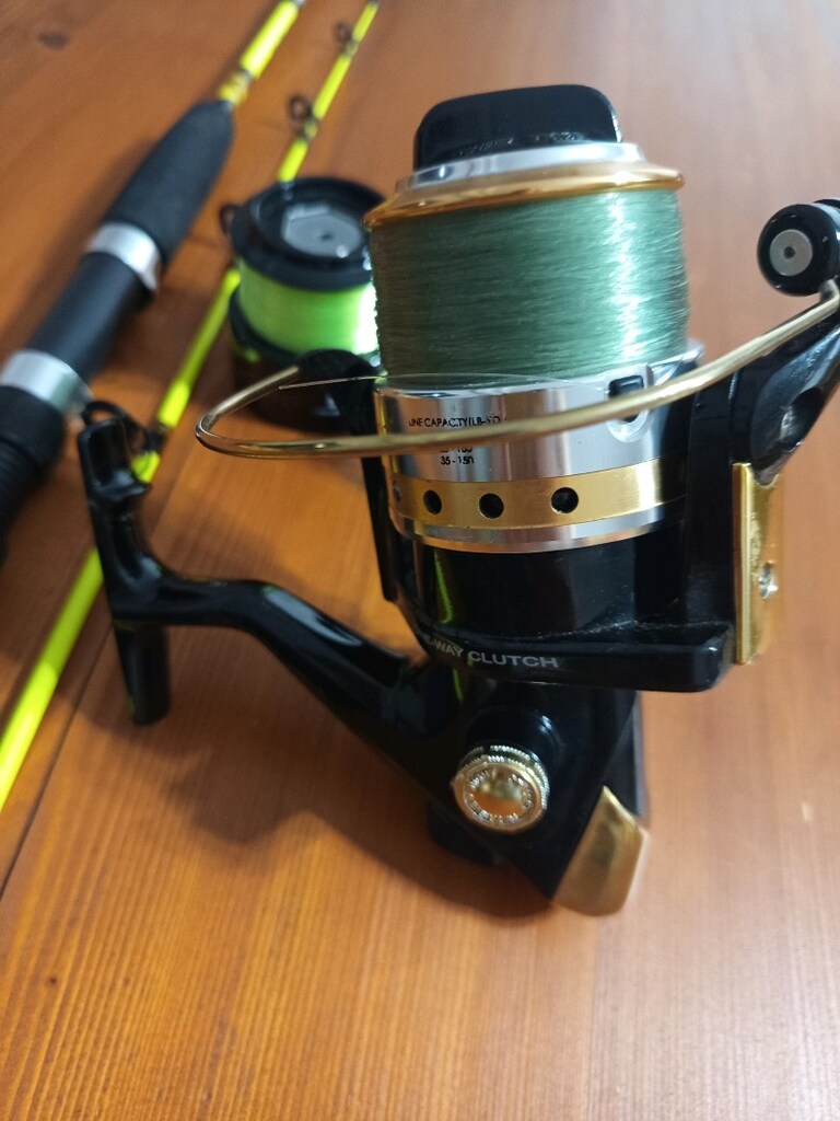 Alba Star boat kamışı 50-100 gr - 3