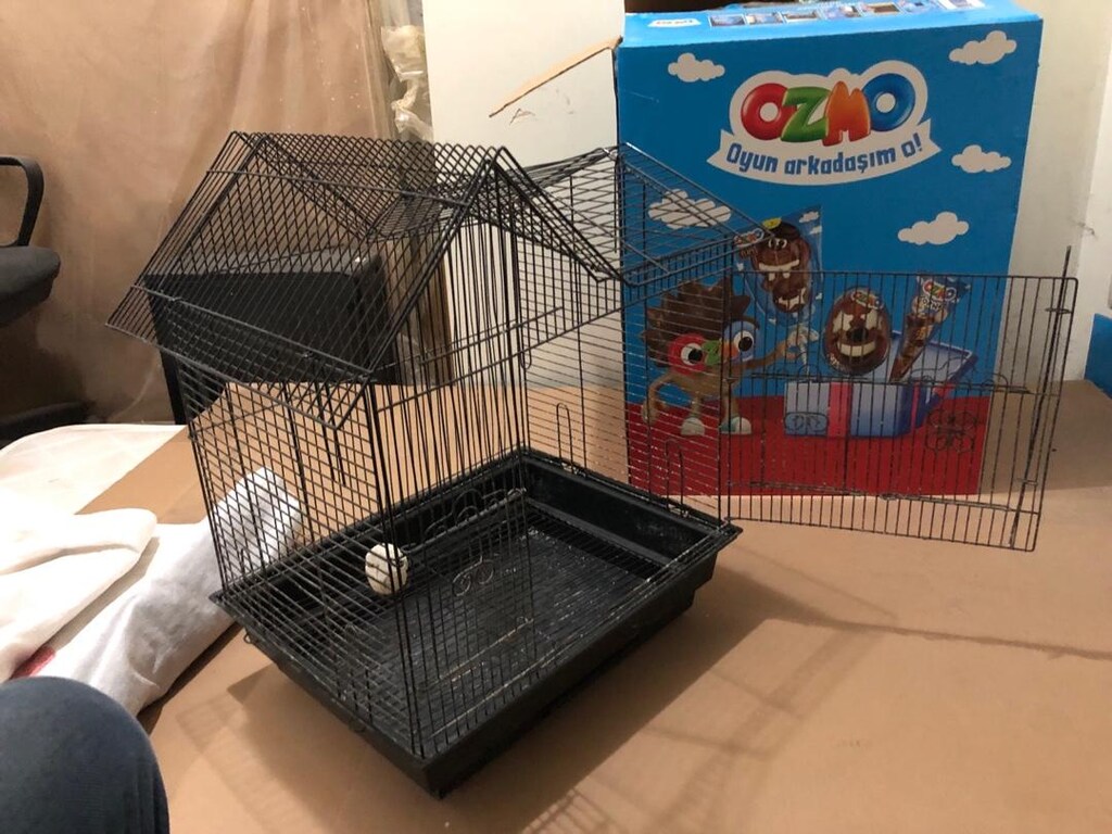 KUŞ KAFESİ - 3