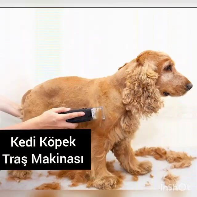 KÖPEK KEDİ TRAŞ BAKIM MAKİNESİ 20.YILIMIZ