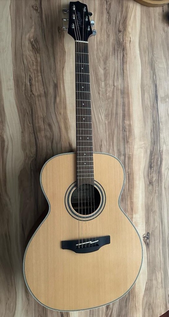 Takamine GD20 NS Akustik Gitar - 6